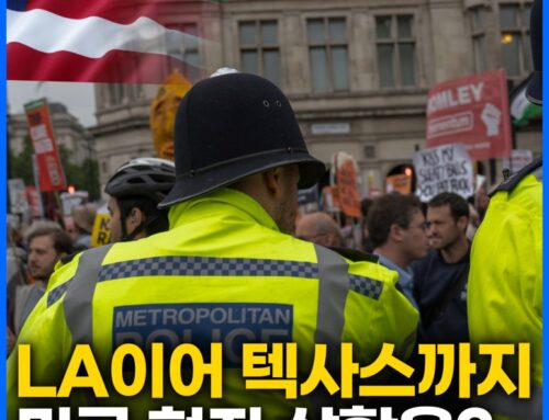 격화된 이민 단속, 지금 LA 진짜의 현실은 이렇습니다.