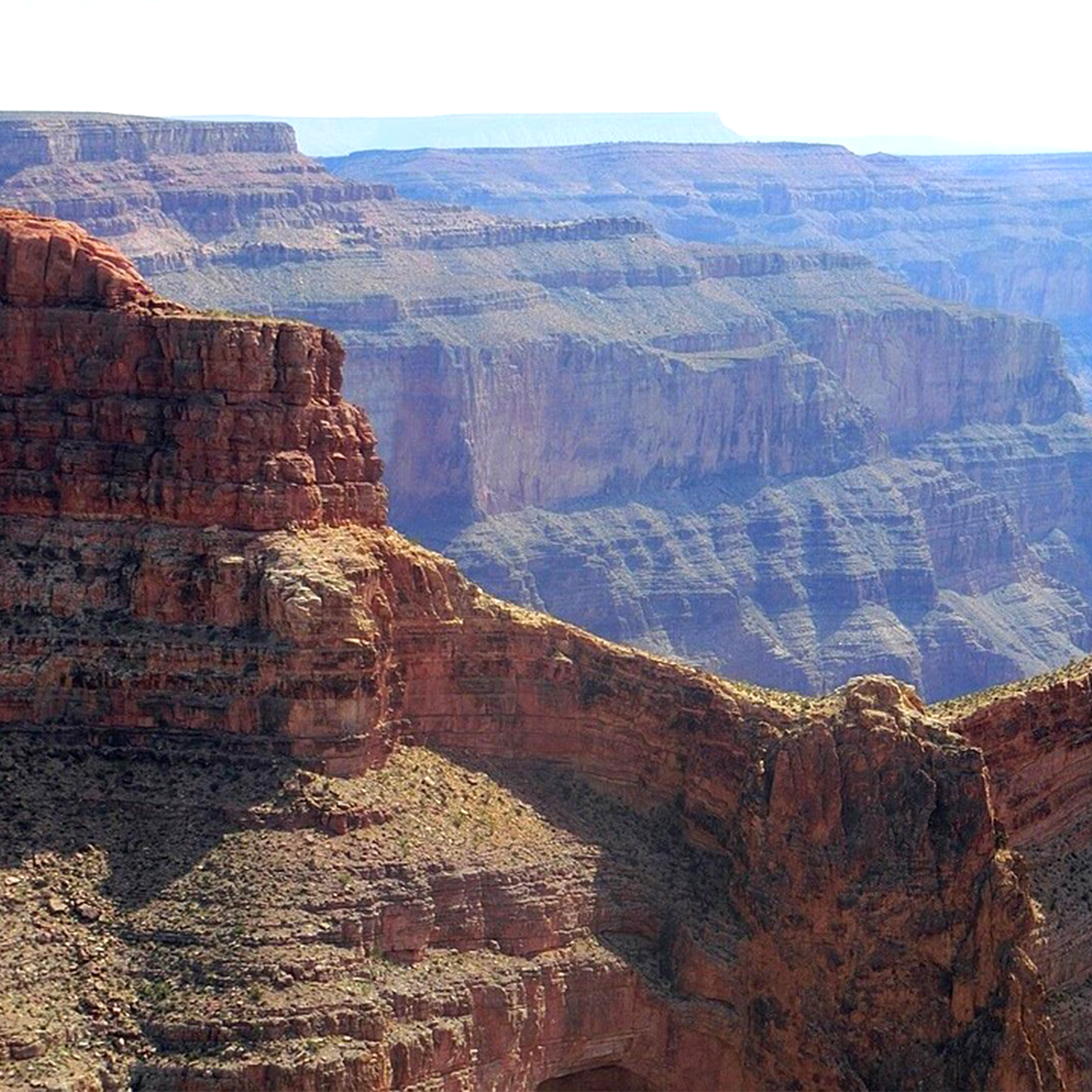 Untitled-1Artboard 1 copy 7_1