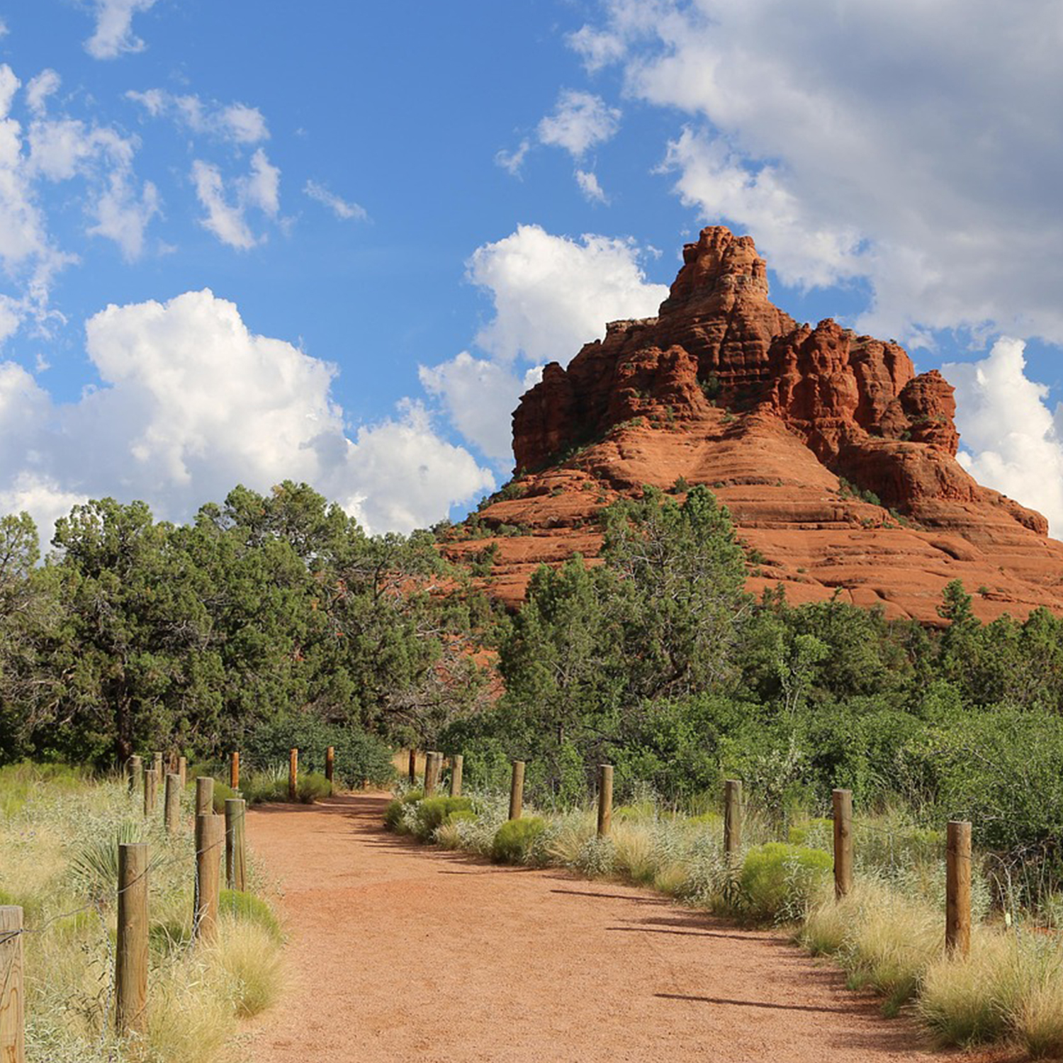 Untitled-1Artboard 1 copy 7_3