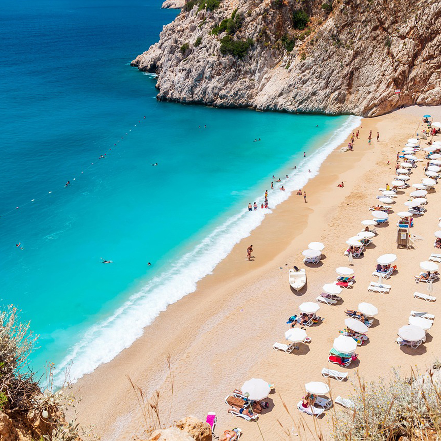 Untitled-1Artboard 1 copy 8_1