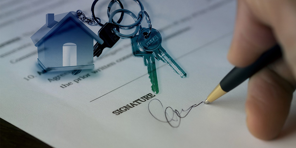 imageArtboard 1 copy 4_1