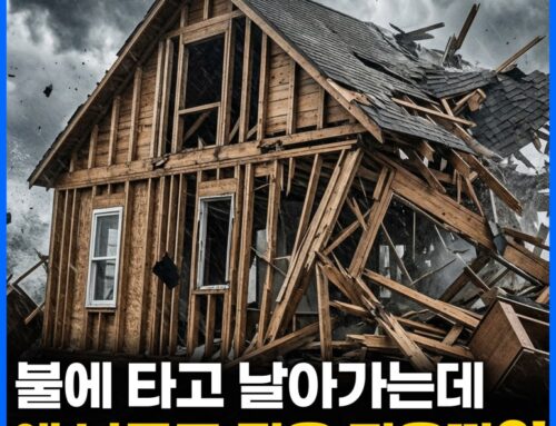 미국은 왜 허리케인에도 나무로 집을 지을까?